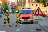 Einsatz Nr. 217 Hilfe 0 Ölspur